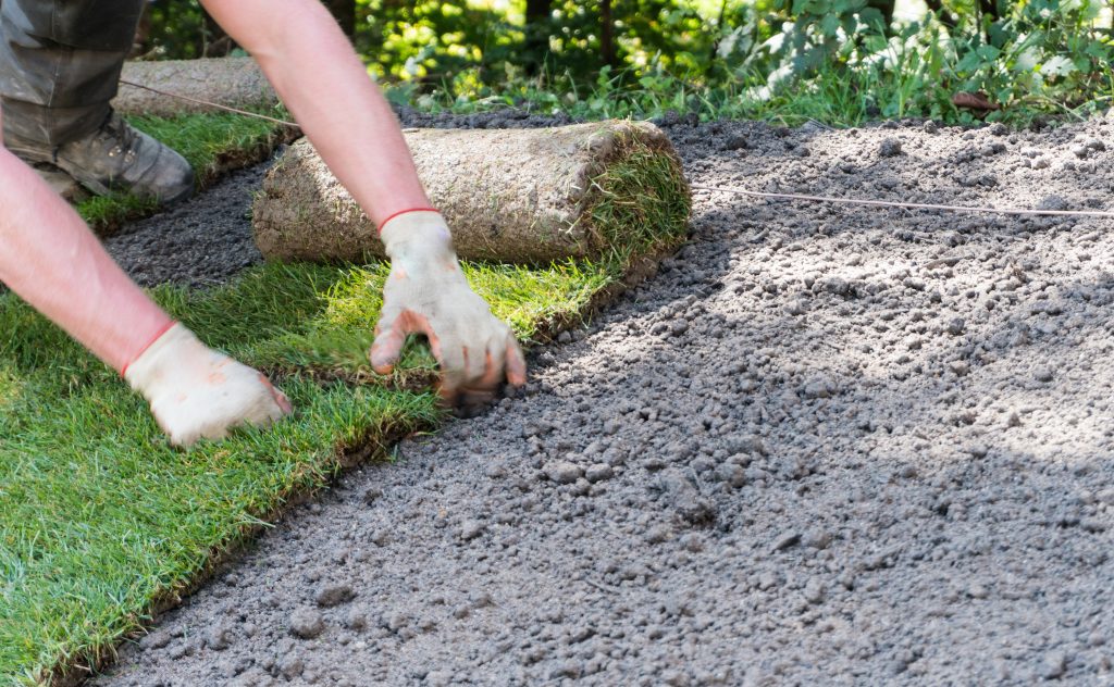 A person laying down turf grass rolls on prepared soil, demonstrating lawn installation techniques.